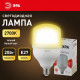 Лампа светодиодная Эра Стандарт LED POWER T80-20W-2700-E27