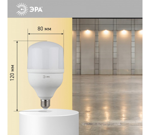 Лампа светодиодная Эра Стандарт LED POWER T80-20W-2700-E27