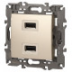 Розетка 2хUSB type A без рамки Эра Эра Elegance 14-4110-04