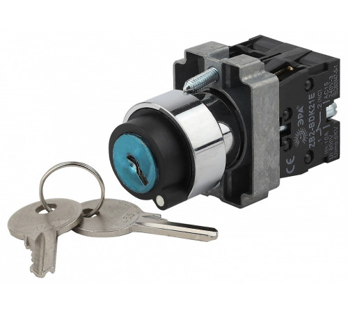 Кнопка управления Эра BSW80-BG-2-K02E