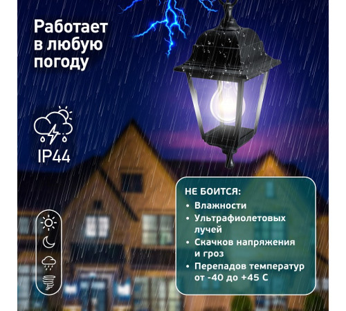 Подвесной светильник Эра НСУ 04-60-001 черный