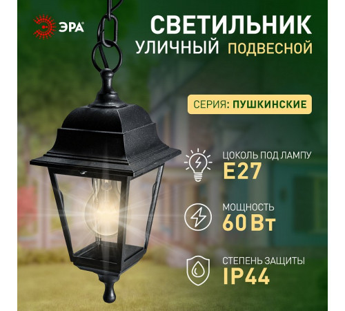 Подвесной светильник Эра НСУ 04-60-001 черный