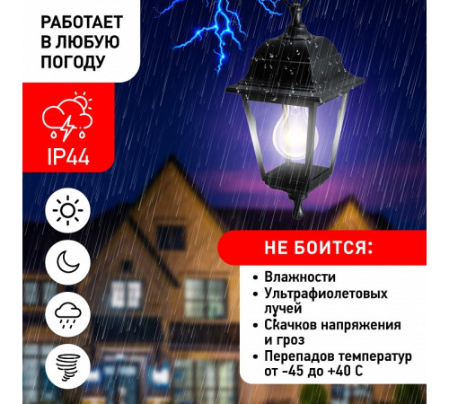 Подвесной светильник Эра НСУ 04-60-001 черный
