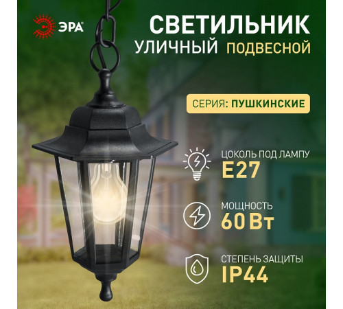 Подвесной светильник Эра НСУ 06-60-001 черный