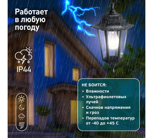 Подвесной светильник Эра НСУ 06-60-001 черный
