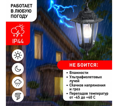 Подвесной светильник Эра НСУ 06-60-001 черный