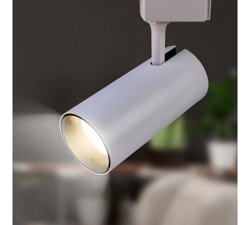 Светильник на штанге Эра TR5-30 COB WH