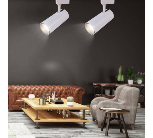 Светильник на штанге Эра TR5-30 COB WH