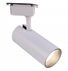 Светильник на штанге Эра  TR5-30 COB WH