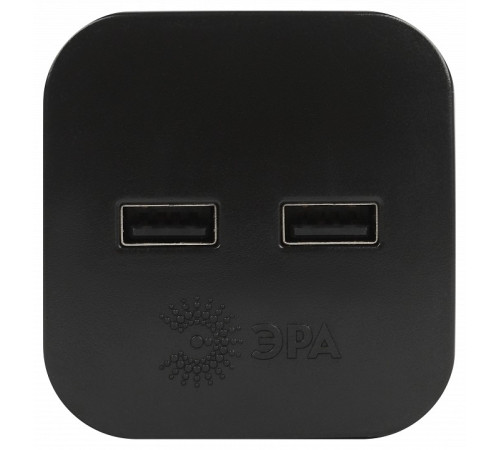 Разветвитель Эра SP-2-USB-B