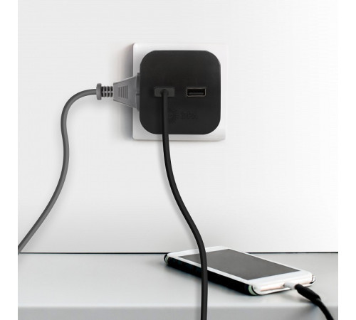 Разветвитель Эра SP-2-USB-B