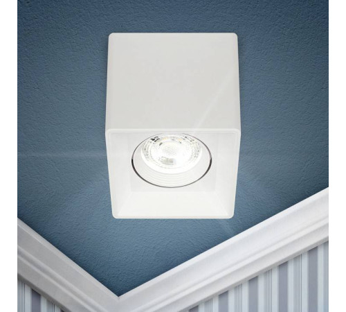 Накладной светильник Эра OL24-1 WH Б0054381