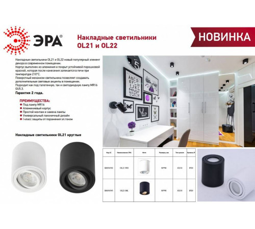 Накладной светильник Эра OL21 BK Б0054393
