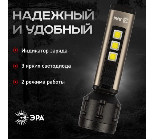 Фонарь ручной Эра UA-601