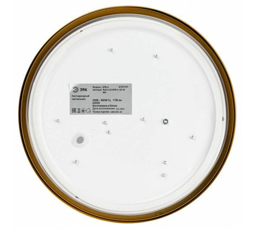 Накладной светильник ЭРА Relict 22 SPB-6-20 4К MG