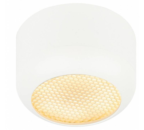 Накладной светильник Эра OL56 WH