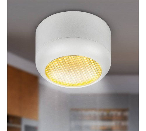 Накладной светильник Эра OL56 WH