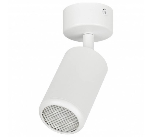 Спот Эра OL55 WH