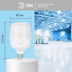 Лампа светодиодная Эра E27 30Вт 6500K LED POWER T80-30W-6500-E27 R