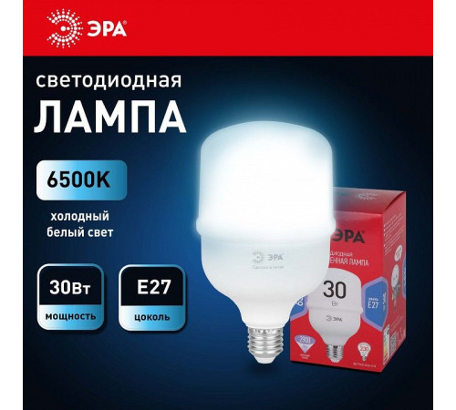 Лампа светодиодная Эра E27 30Вт 6500K LED POWER T80-30W-6500-E27 R