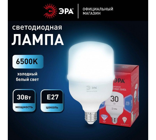 Лампа светодиодная Эра E27 30Вт 6500K LED POWER T80-30W-6500-E27 R