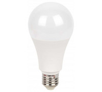 Лампа светодиодная Эра  LED A70-30W-840-E27 R