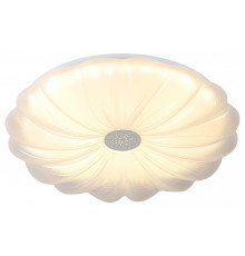 Накладной светильник Эра  SPB-6 Muze 48W-5K WH+CH