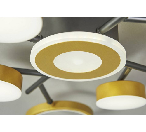 Потолочная люстра Escada Optimal 10206/9LED