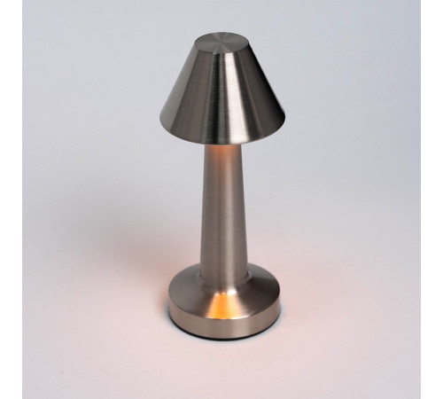 Настольная лампа декоративная Escada EVO 10256/L LED