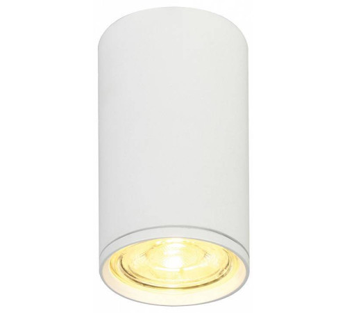 Накладной светильник Escada 20001 20001SMU/01 SWH