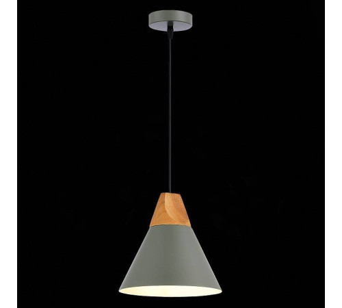 Подвесной светильник EVOLUCE Modica SLE125113-01