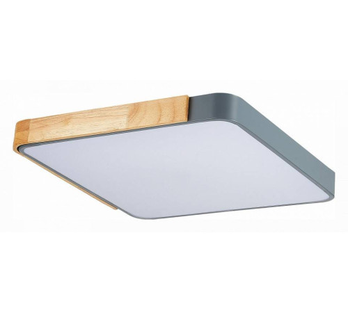 Накладной светильник EVOLUCE Festa 1 x E27 SLE201272-01