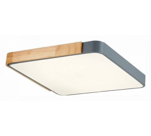 Накладной светильник EVOLUCE Festa 1 x E27 SLE201272-01