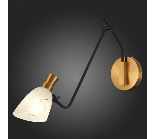 Бра EVOLUCE Lita SLE205401-01