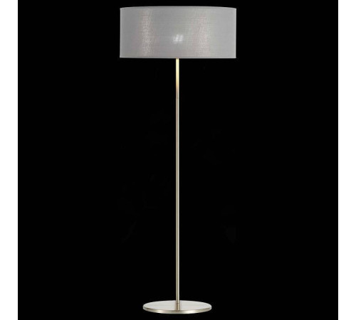 Торшер EVOLUCE Brescia SLE300515-01