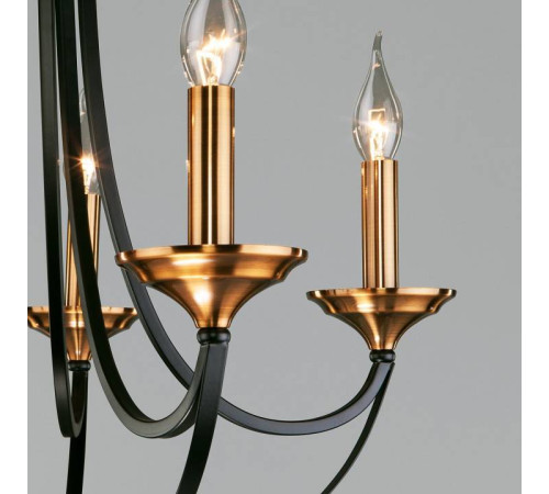 Подвесная люстра Eurosvet Lazzaro 60098/5 черный