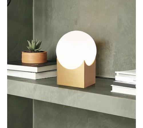 Настольная лампа декоративная Eurosvet Pax 01167/1 латунь