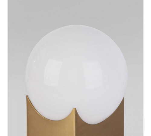 Настольная лампа декоративная Eurosvet Pax 01167/1 латунь