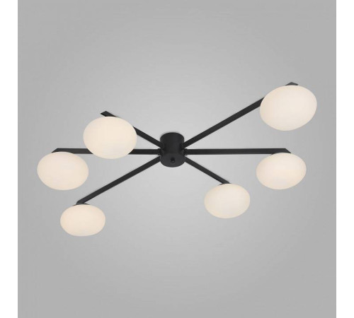 Потолочная люстра Eurosvet Opaline 70220/6 черный