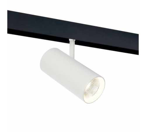 Светильник на штанге Feron MGN303 41947