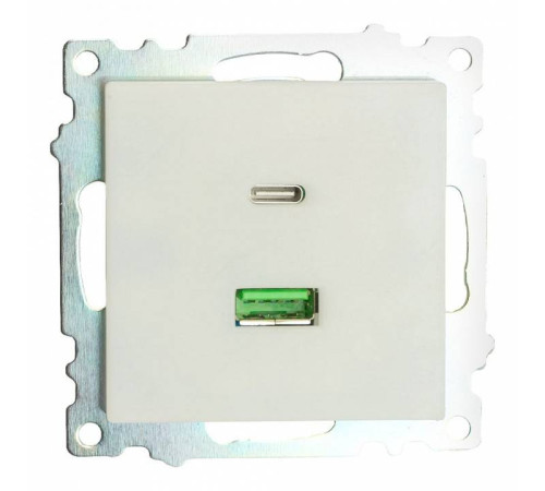 Розетка 2хUSB type A и C без рамки Stekker Катрин 50051