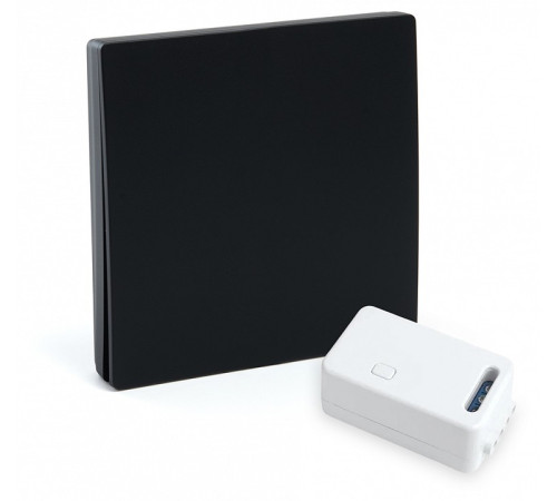 Выключатель беспроводной одноклавишный Feron 50507