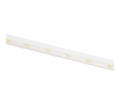 Занавес световой Feron CL586 51453