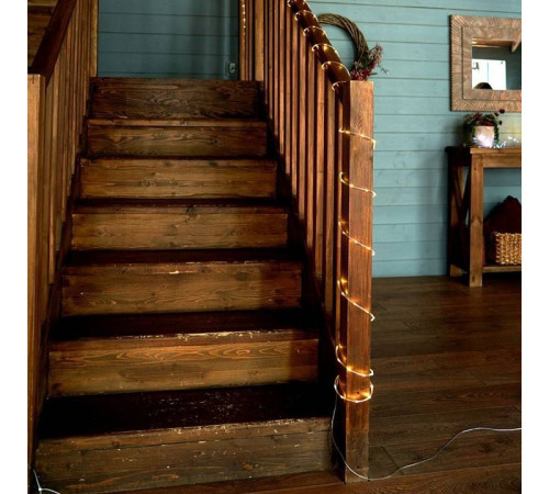 Шнур световой Feron CL587 51460