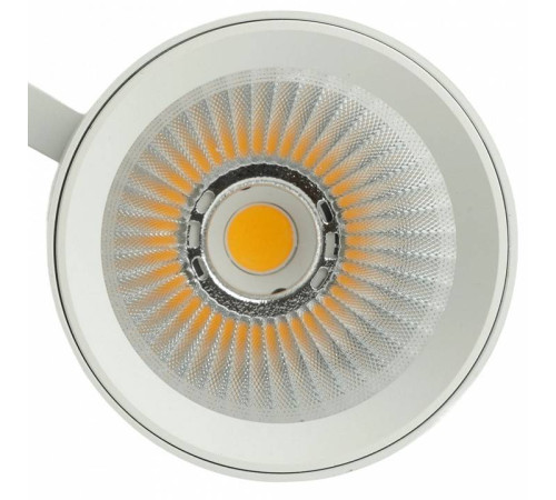 Светильник на штанге Feron TR Reflex 52058