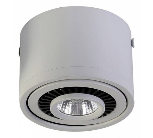 Накладной светильник Favourite Reflector 1775-1C