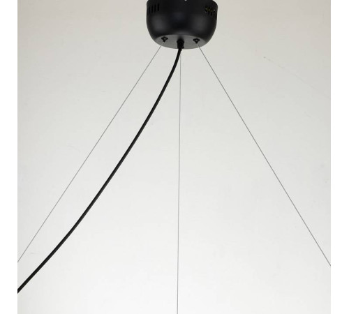 Подвесная люстра Favourite Light point 2997-9P