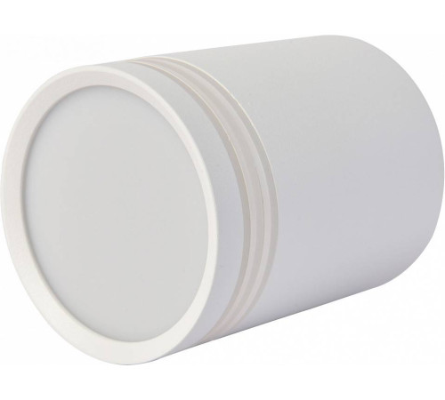 Накладной светильник Favourite Darar 3065-1C