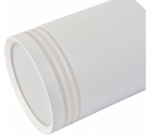 Накладной светильник Favourite Darar 3065-1C