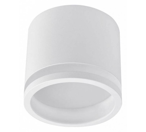Накладной светильник Favourite Festum 4213-1C